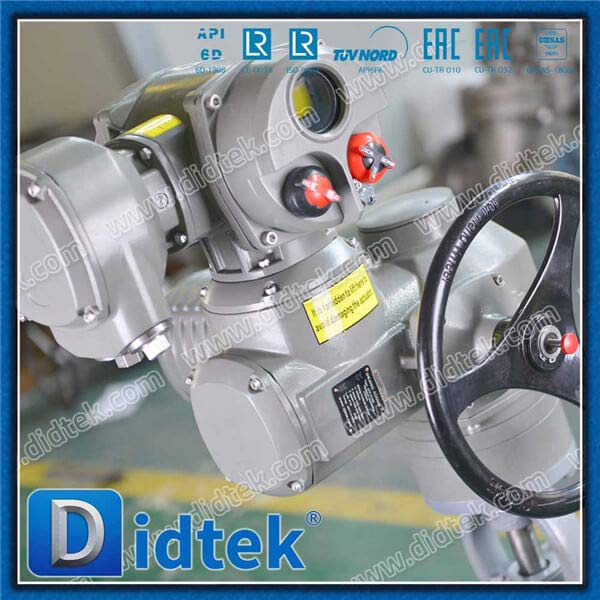 Intelligent F15 IP67 Electric Atuatur Ansi Globe Valve