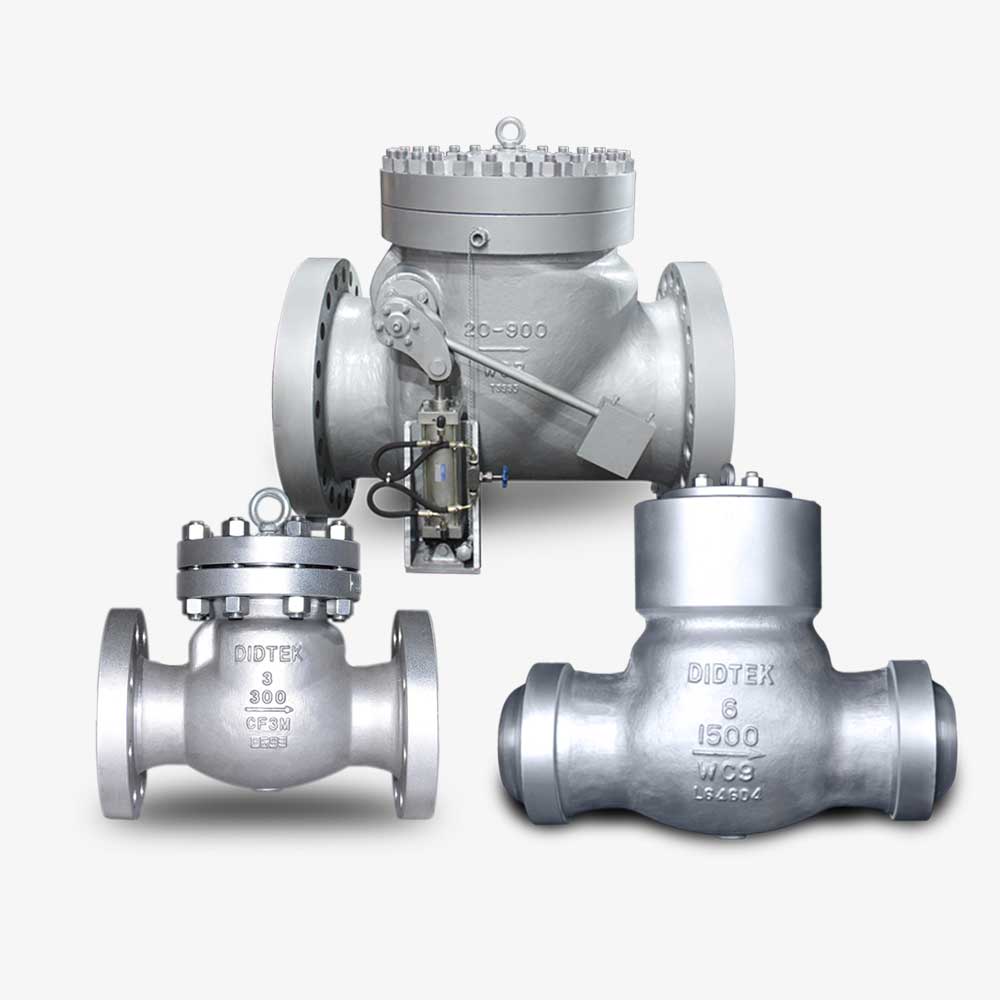 Check Valve Válvula de retenção