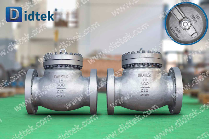 Check Valve Válvula de retenção