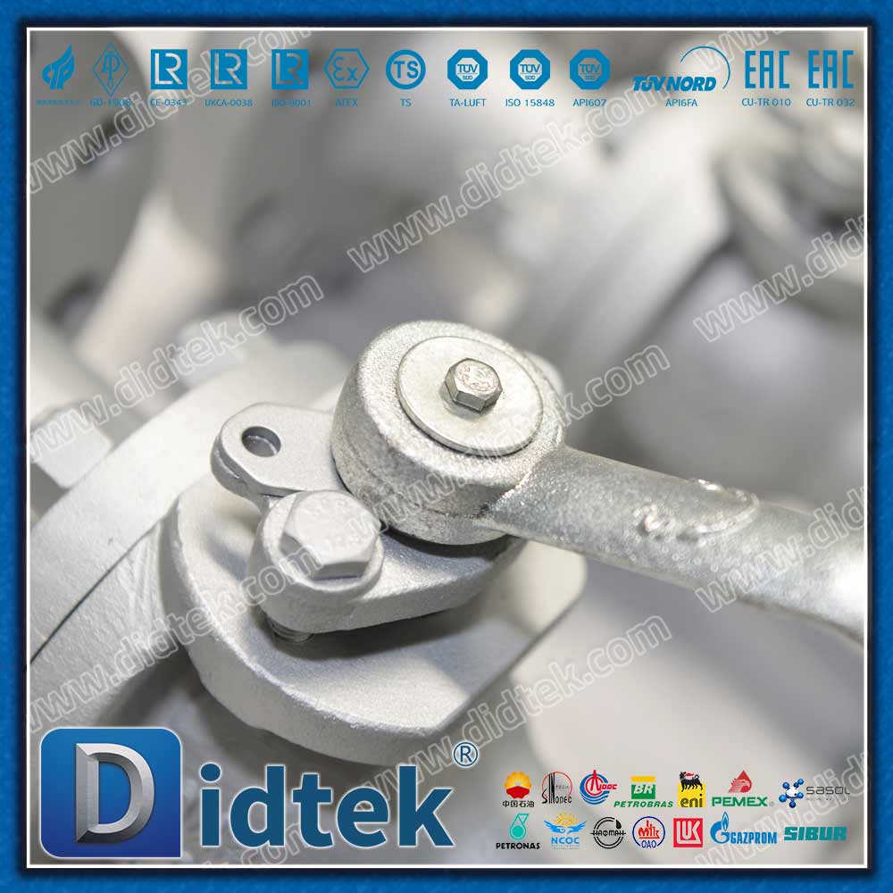Válvula de esfera química de pintura revestida com epóxi PCTFE Seat