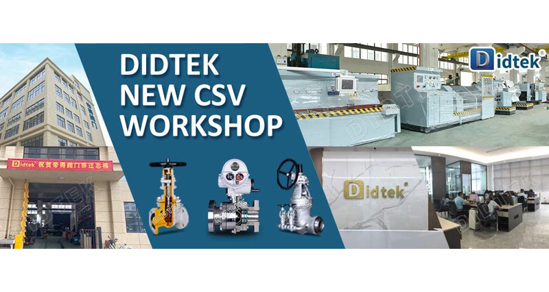 Didtek New CSV Workshop 2020