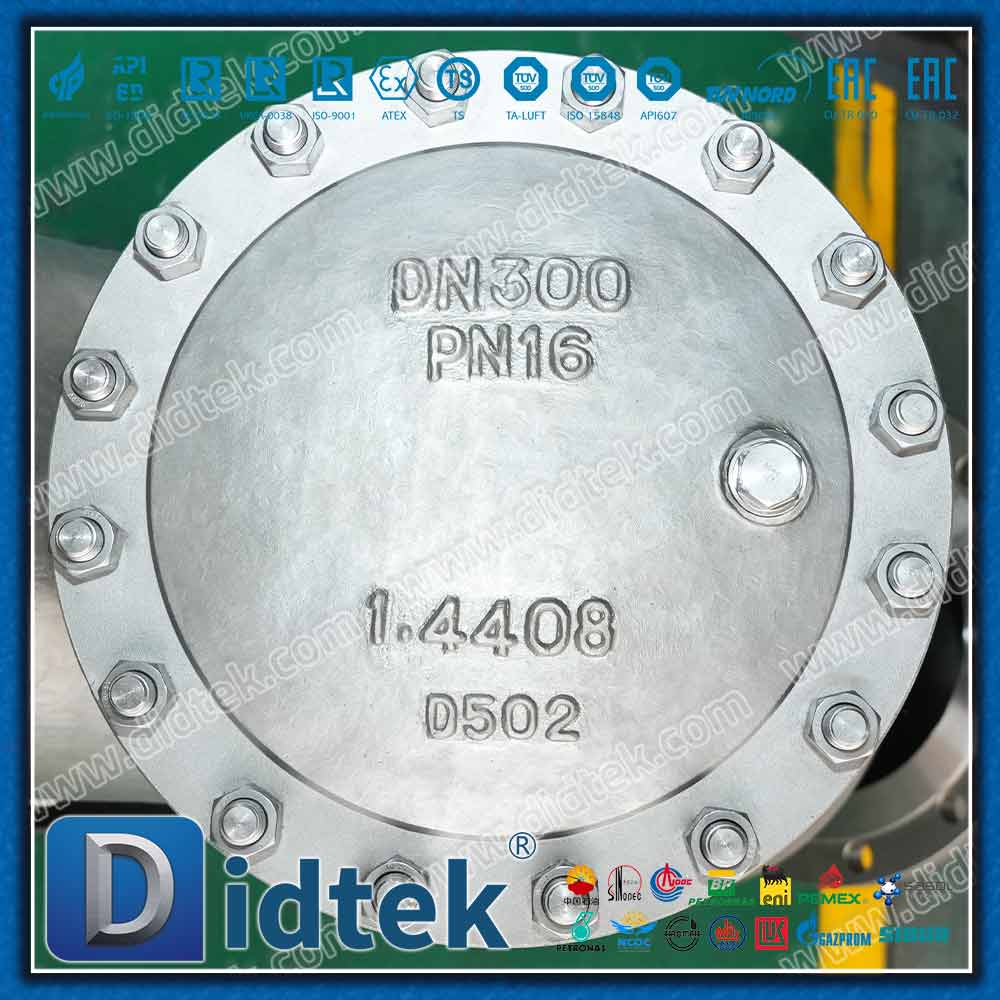 Filtro DIN EN 1.4408 Y com malha 80